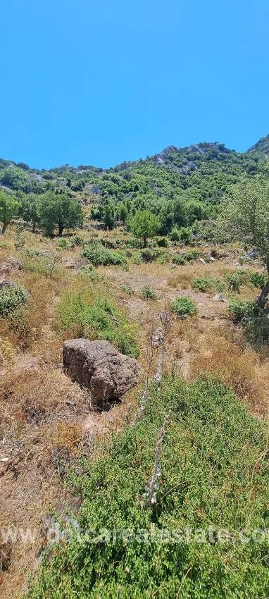 Feld Zu verkaufen in Selimiye Bz. Marmaris - Feld-Zonierung - 773 m²