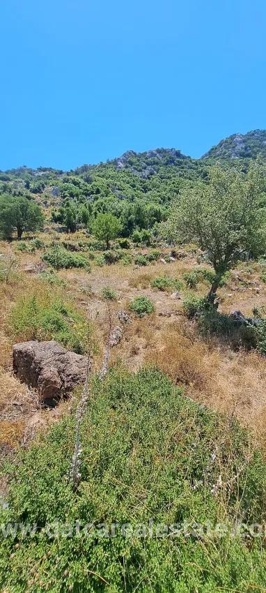Feld Zu verkaufen in Selimiye Bz. Marmaris - Feld-Zonierung - 773 m²