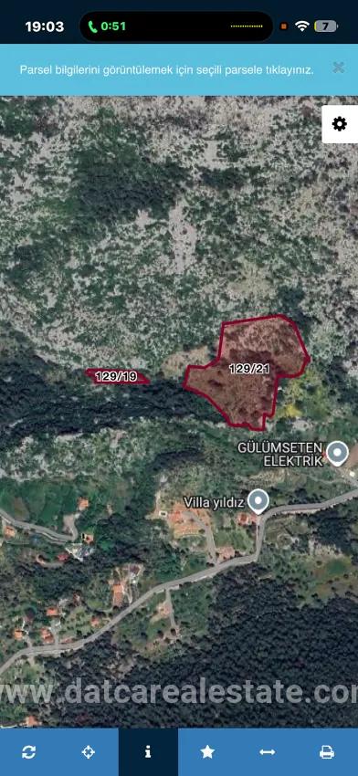 Feld Zu verkaufen in Bayır Bz. Marmaris - Feld-Zonierung - 2.500 m²
