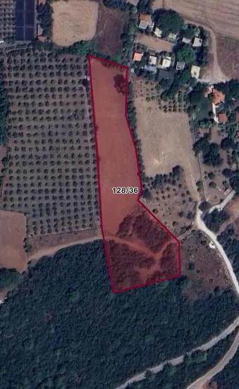 Marmaris Çamlı mein Dorf, sehr nahe am Meer, 7000m2 Grundstück für Investitionen geeignet