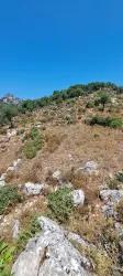 Feld Zu verkaufen in Selimiye Bz. Marmaris - Feld-Zonierung - 773 m²