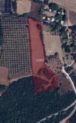 Feld Zu verkaufen in Çamlı Bz. Marmaris - Feld-Zonierung - 7.000 m²