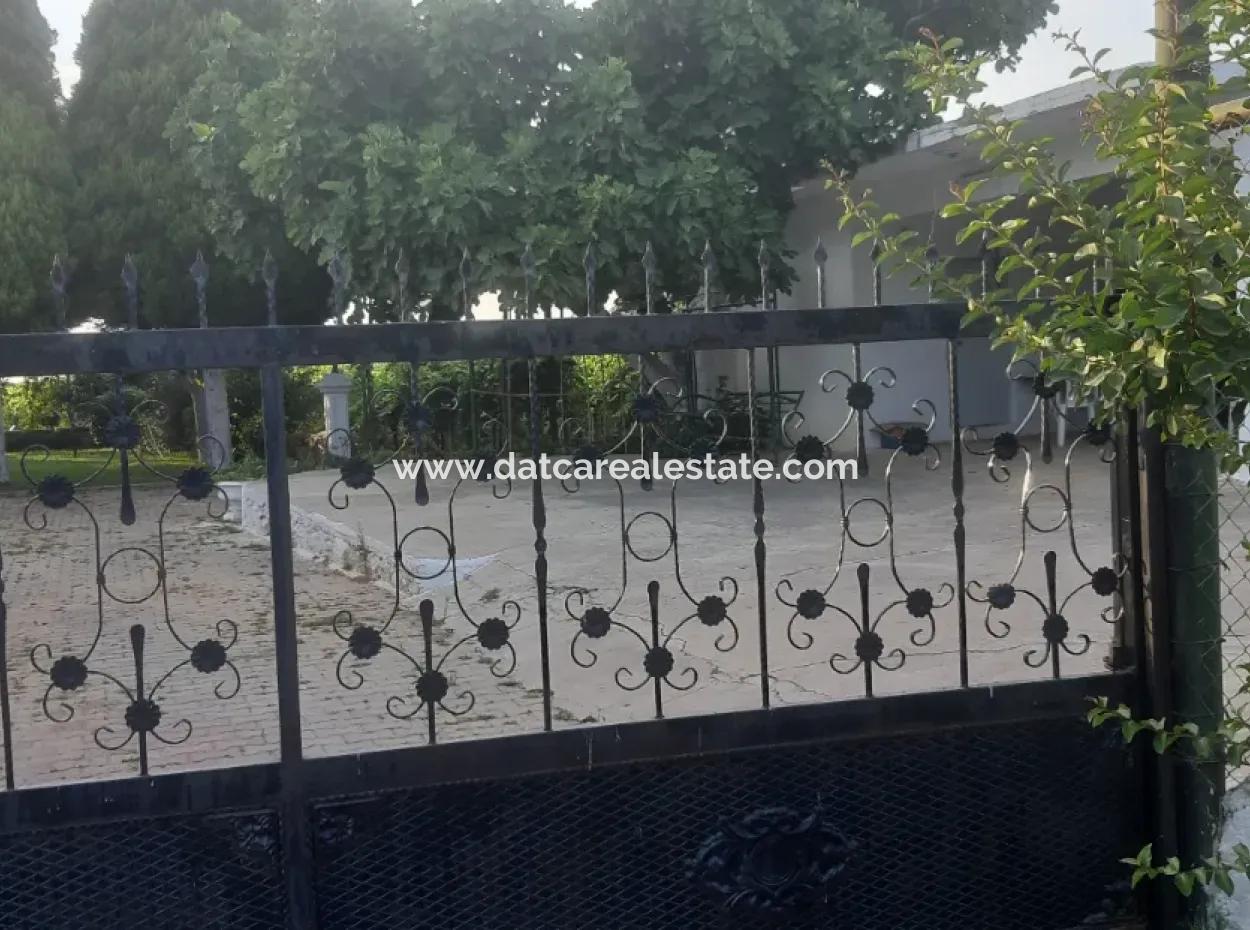 Manisa Präfektur Alasehir Bezirk 19000M2 Traubenfrierungsbetrieb Zum Dringenden Verkauf