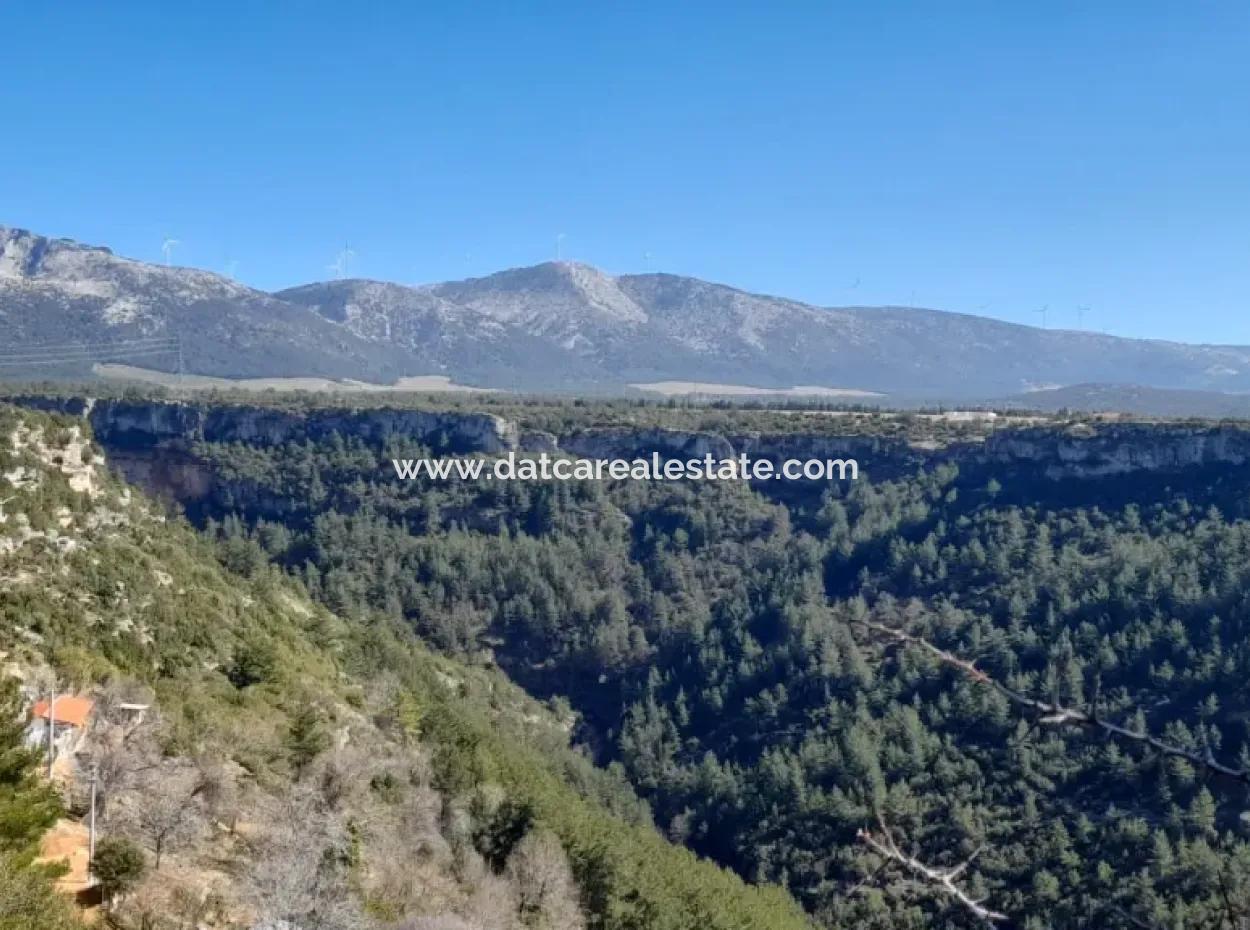 Der 200000M2 Mandelgarten Steht Im Zentrum Von Mugla Zum Verkauf.