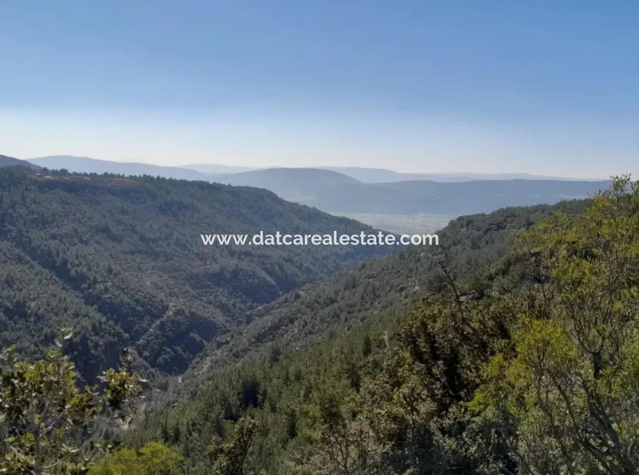 Der 200000M2 Mandelgarten Steht Im Zentrum Von Mugla Zum Verkauf.