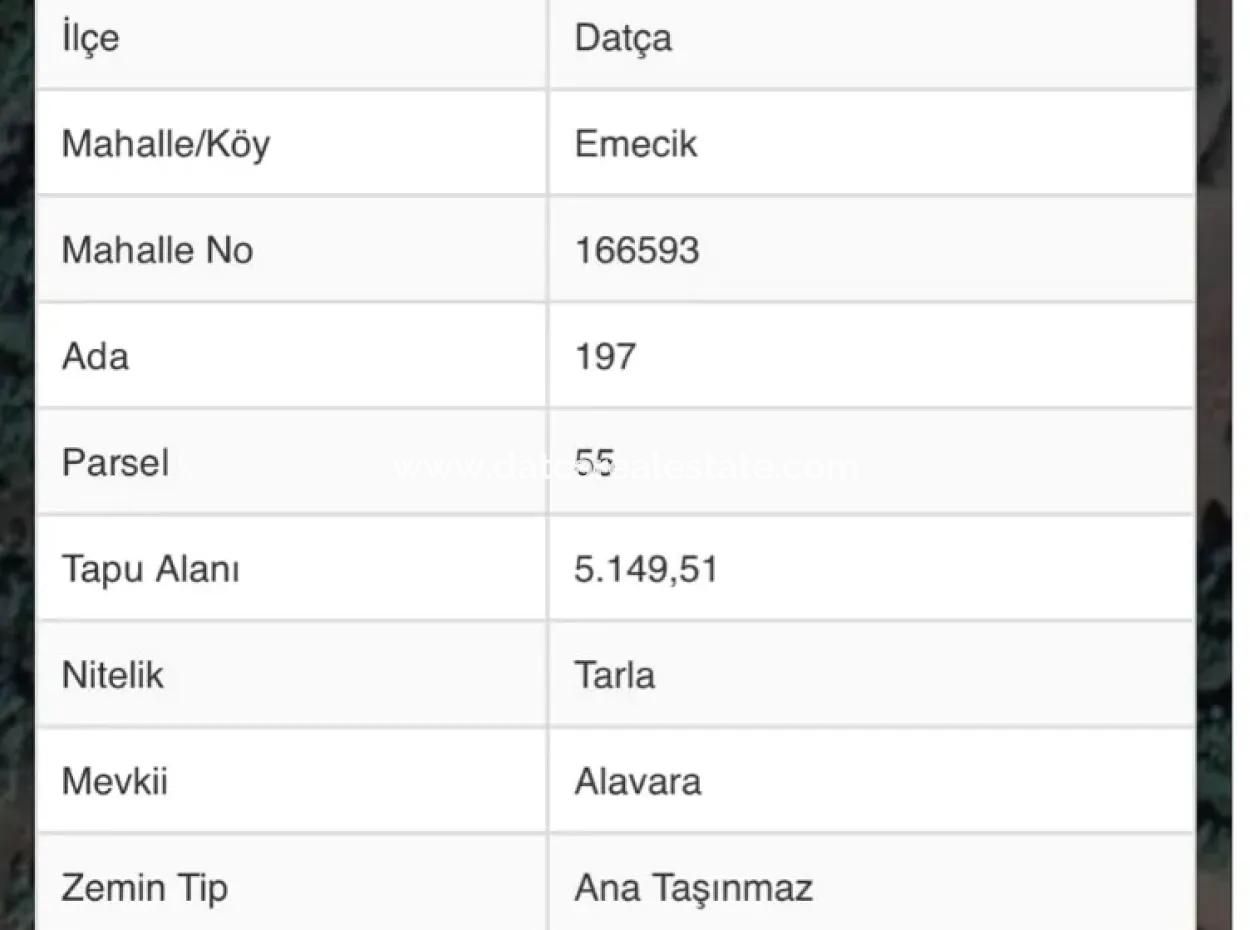 Grundstück Zum Verkauf Im Viertel Avlana Des Bezirks Datca In Der Nähe Des Meeres Von 5200M2, Geeignet Für Investitionen