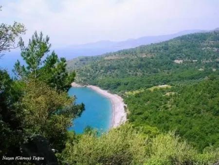 100000M2 Zonen Dorf 60 Km Vom Stadtzentrum Von Datca Zum Verkauf