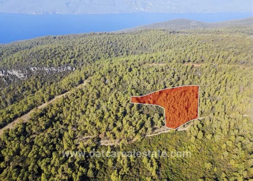 Field For sale in Çetibeli Nbh. Marmaris - Field Zoned - 13.500 m²