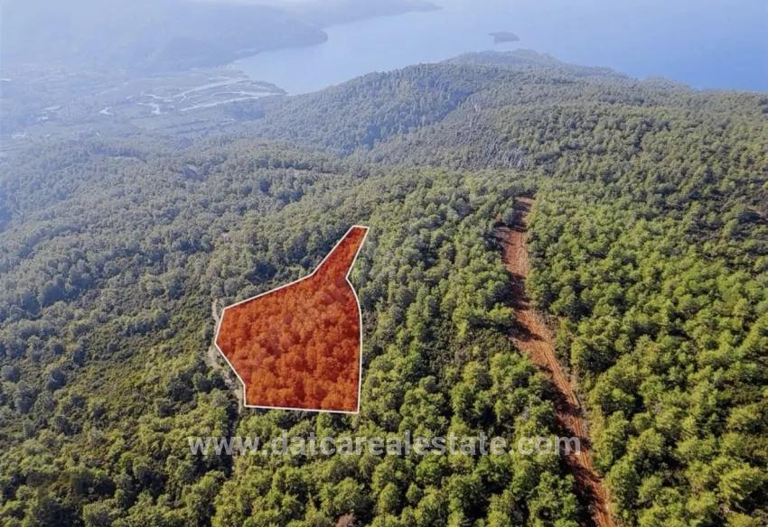 Field For sale in Çetibeli Nbh. Marmaris - Field Zoned - 13.500 m²
