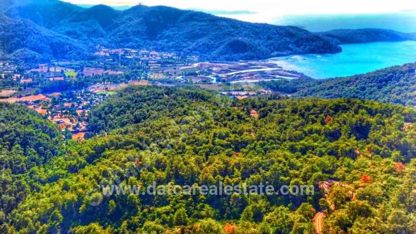 Field For sale in Çetibeli Nbh. Marmaris - Field Zoned - 13.500 m²