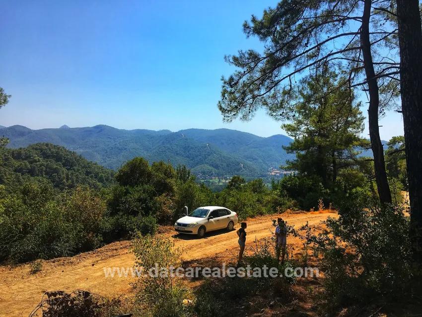 Field For sale in Çetibeli Nbh. Marmaris - Field Zoned - 13.500 m²