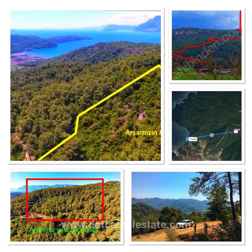 Field For sale in Çetibeli Nbh. Marmaris - Field Zoned - 13.500 m²