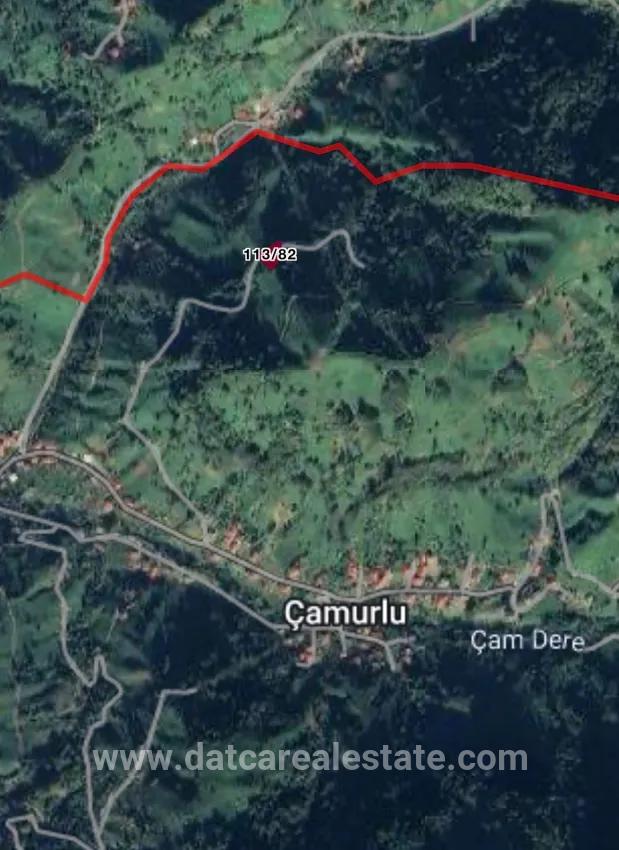 In the village of Hopa Kemelpaşa, a Tea garden with a 650 m2 road