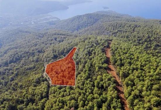 In Marmaris Çetibelinde within the forest 13,500 m2 Private usage area