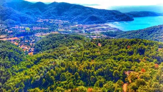 In Marmaris Çetibelinde within the forest 13,500 m2 Private usage area