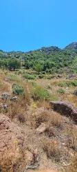 Field For sale in Selimiye Nbh. Marmaris - Field Zoned - 773 m²