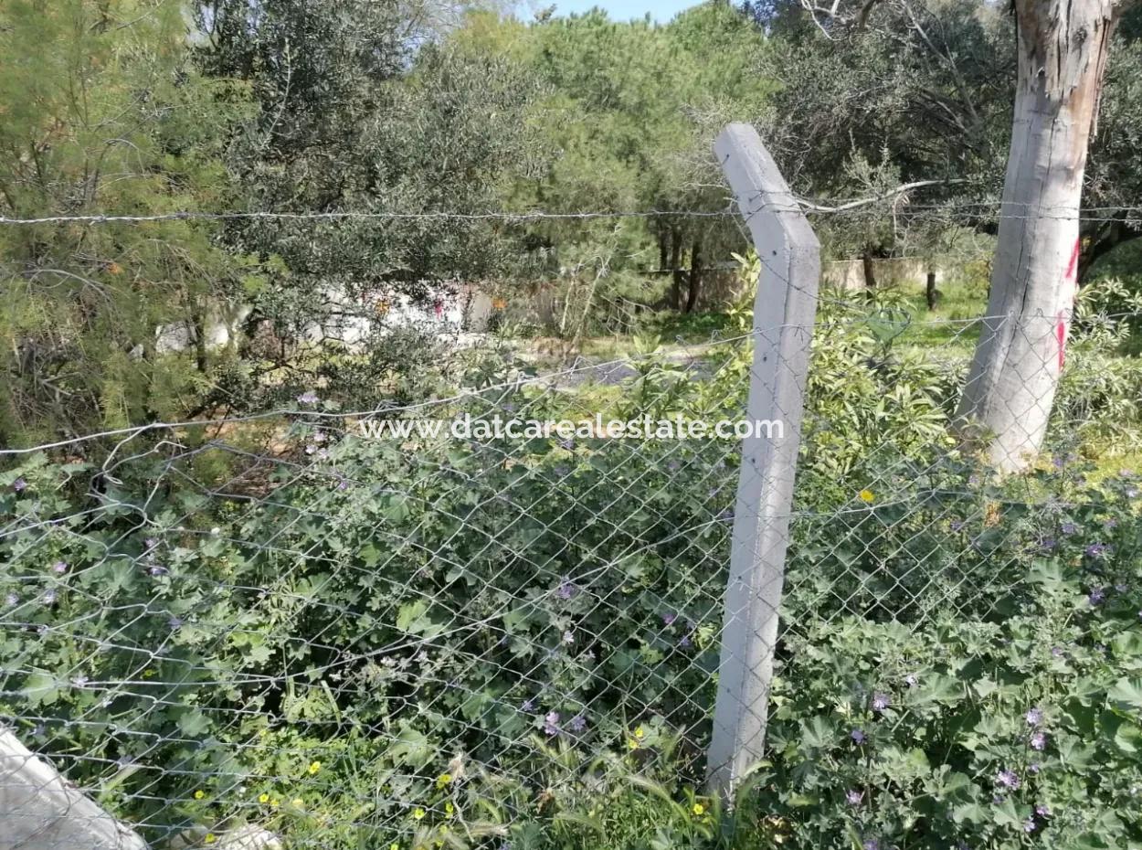 Land For Sale With 4000M2 Tourism Development By The Sea In Bodrum Akyarlar