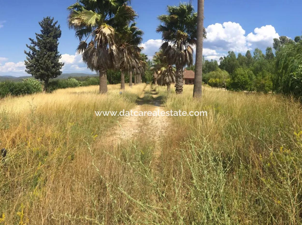 Amazing Farm For Sale In Mugla Gokova Bay, Built On 26000M2Arsa