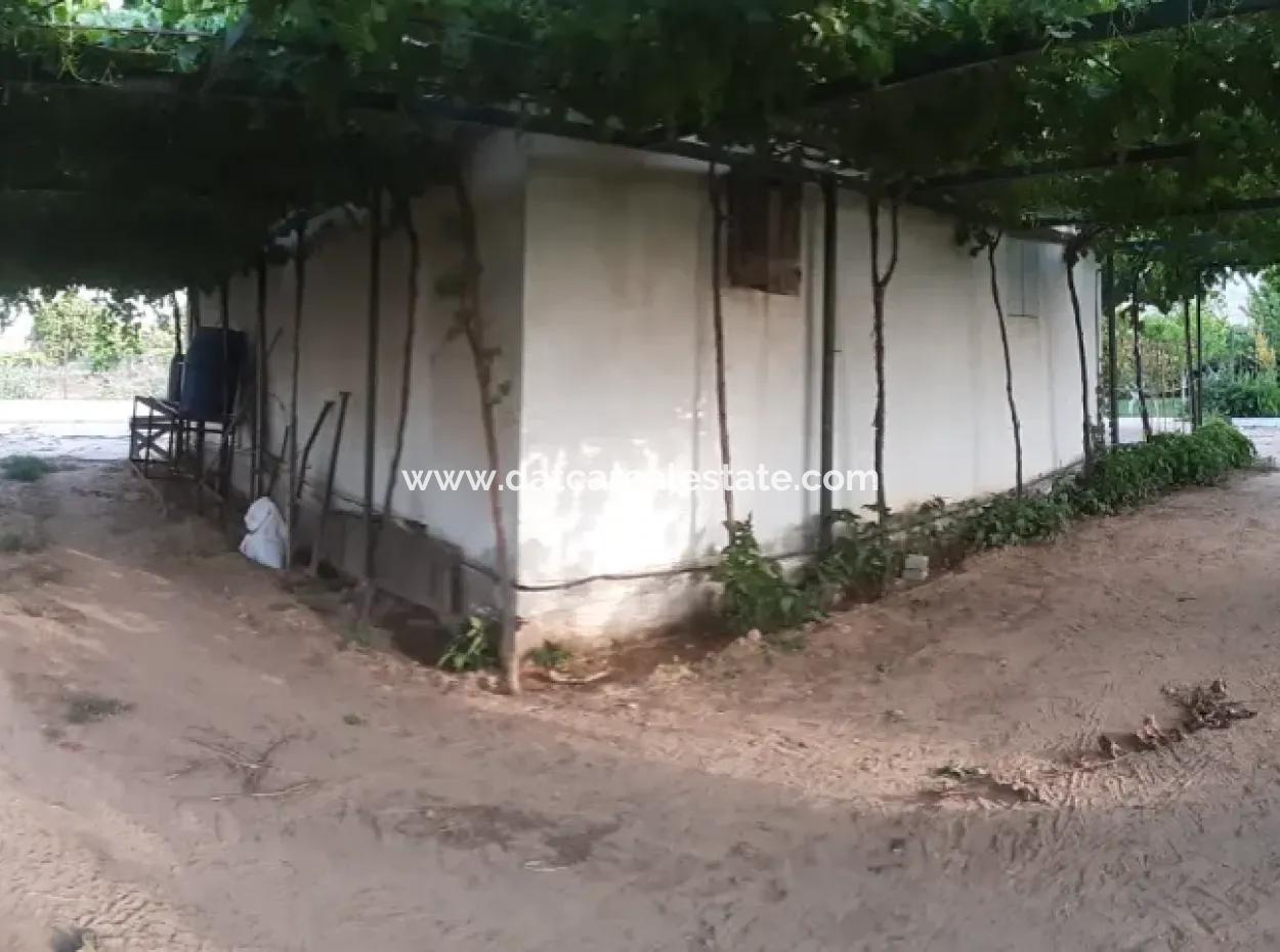 Manisa Prefecture Alasehir District 19000M2 Grapefring Farm For Urgent Sale