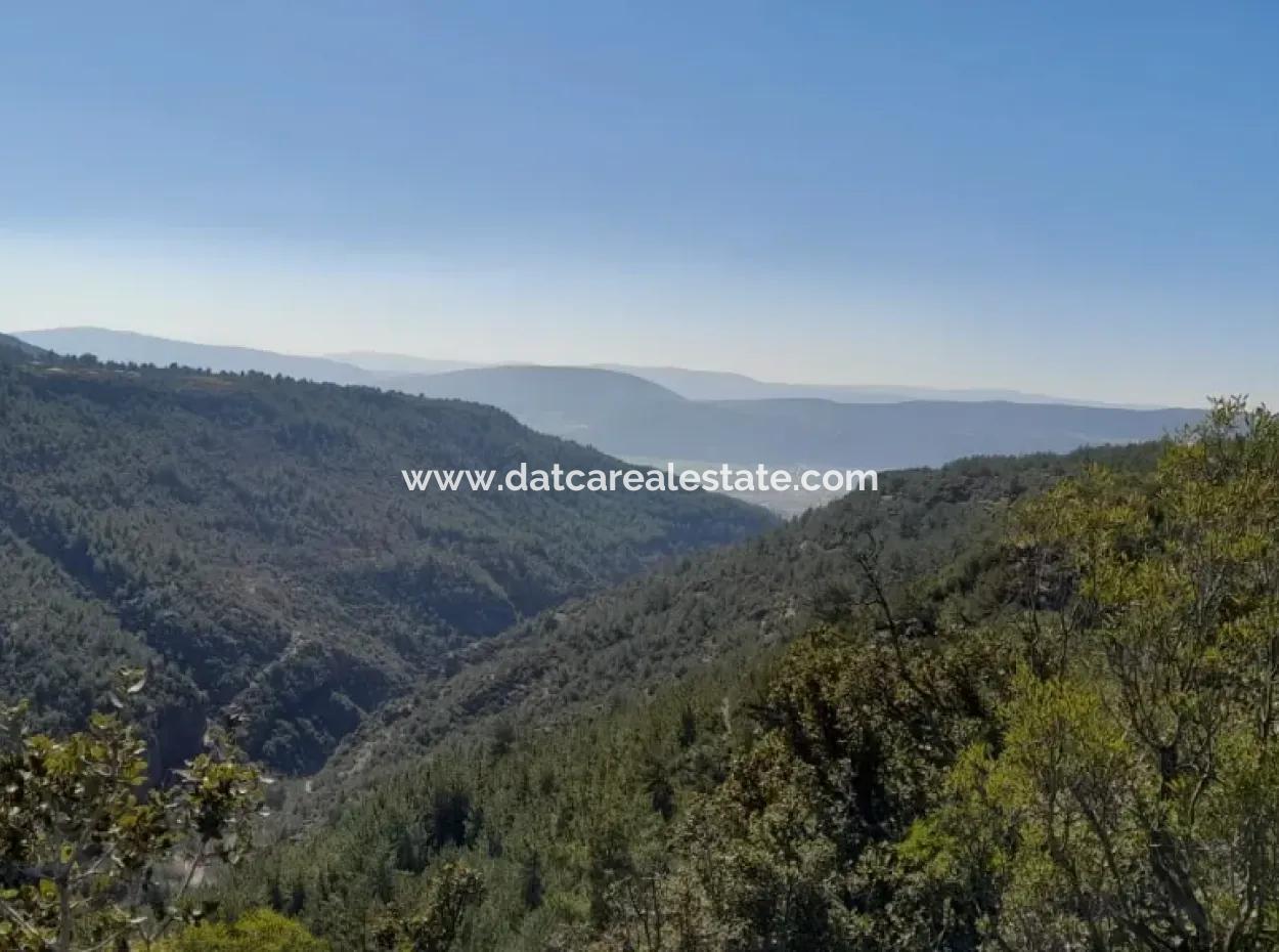 The 200000M2 Almond Garden Is For Sale In The Center Of Mugla.