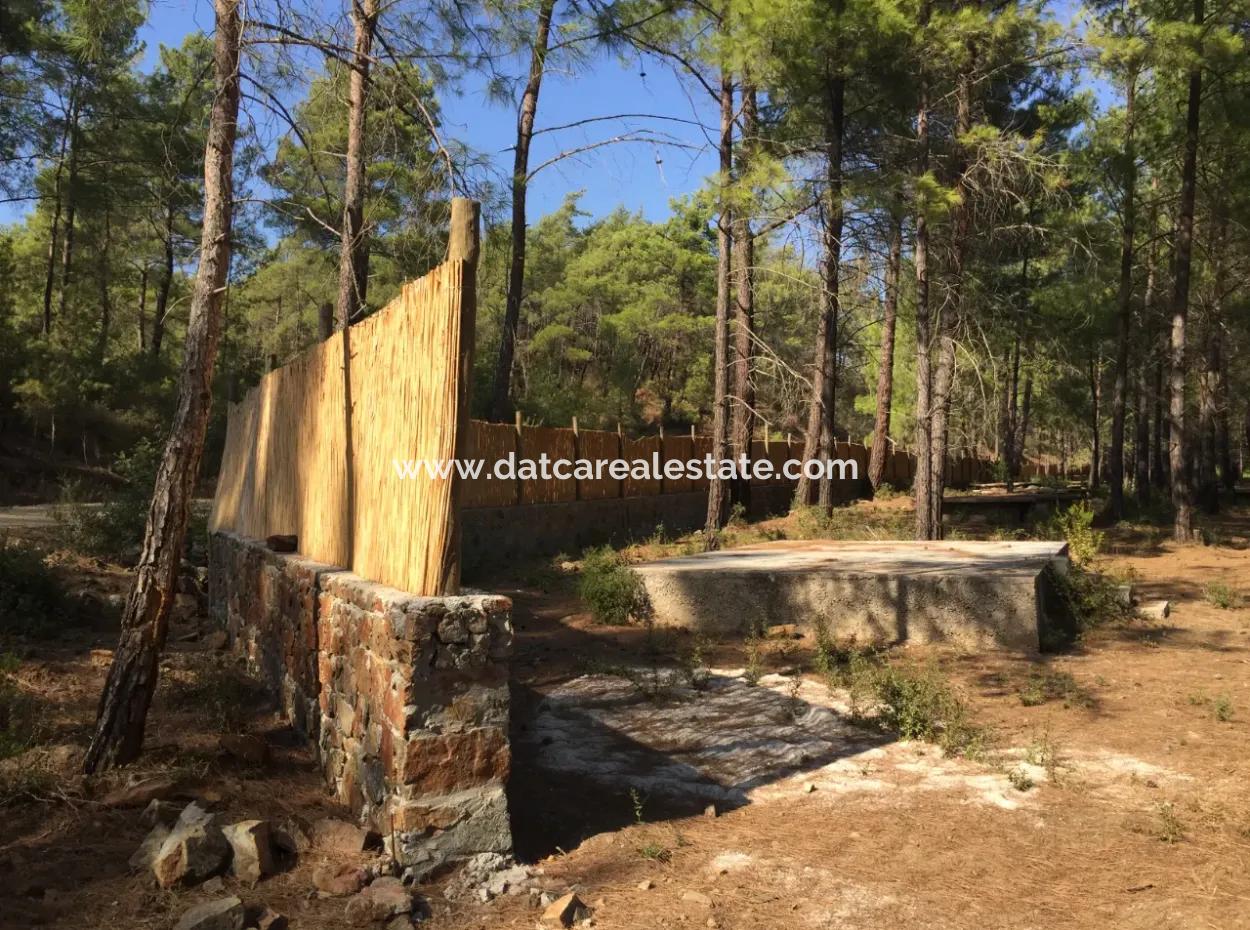 Land For Sale Suitable For Bungalow Hotel In 7500M2 Plot In Bördübet Bay