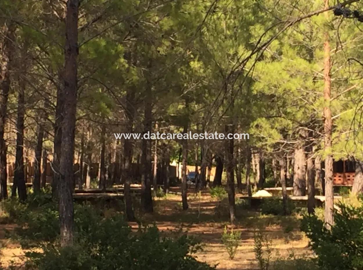 Land For Sale Suitable For Bungalow Hotel In 7500M2 Plot In Bördübet Bay