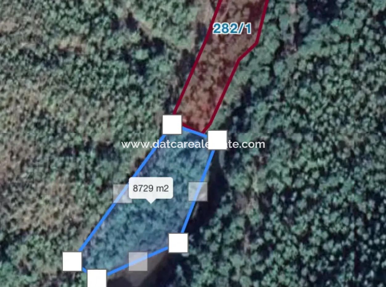 Land For Sale Suitable For Bungalow Hotel In 7500M2 Plot In Bördübet Bay