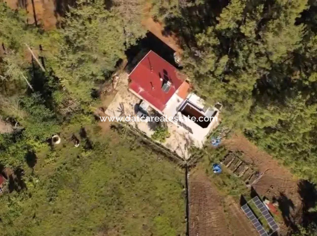 Ortaca Neighborhood For Sale 10.000 M2 Custom Made Farmhouse With Pool