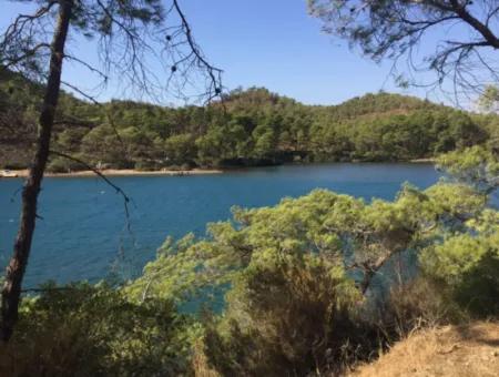 Land For Sale Suitable For Bungalow Hotel In 7500M2 Plot In Bördübet Bay