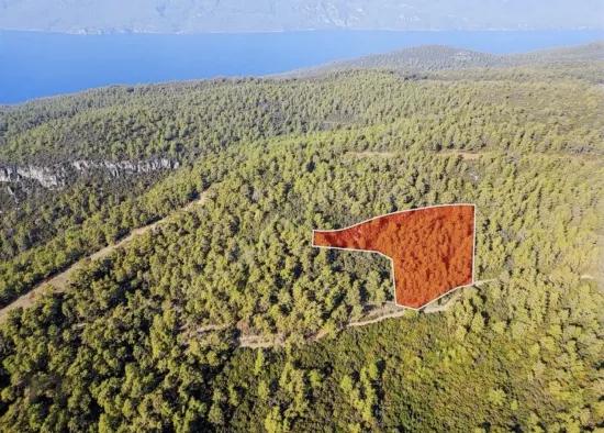 Мармарис Четибелінде Ліс Всередині 13.500 М2 Особисте Використання Території