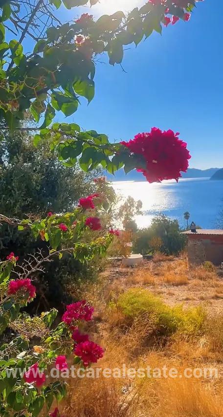 Marmaris Söğüt Mah. Satılık 7+3 Komple bina - 756 m²