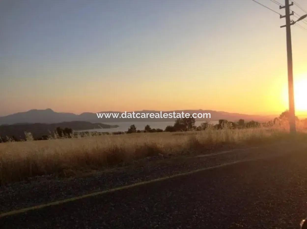 Köyceğiz İlçesi Zeytinalanı Mahallesi 19000M2 Satılık Göl Manzaralı Arsa