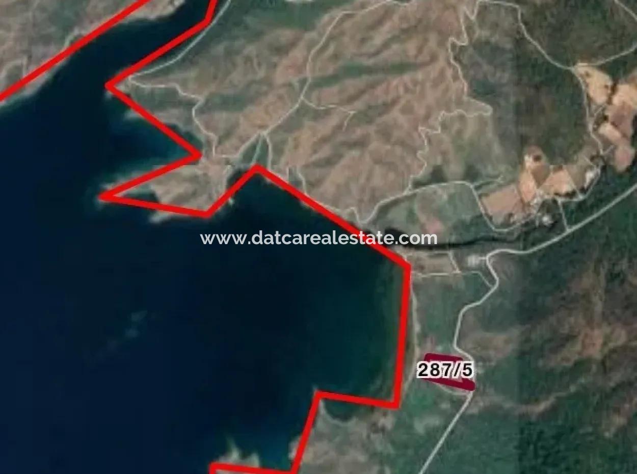 Marmaris Bördübet Koyunda Denize Sıfır Kitesurf Alanı 13000M2 Arsamız Satılıktır.