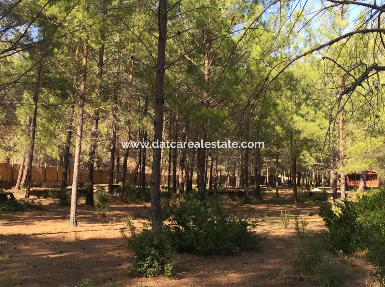 Bördübet Koyunda 7500M2 Arsa İçerisinde Bungalow Otel İçin Uygun Satılık Arsa