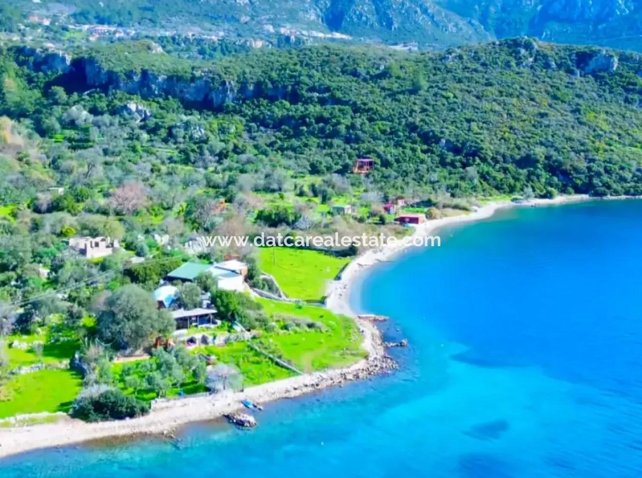 Marmaris Söğüt Köyünde Denize Sıfır 378M2 Yatırım İçin Uygun Satılık Tarla
