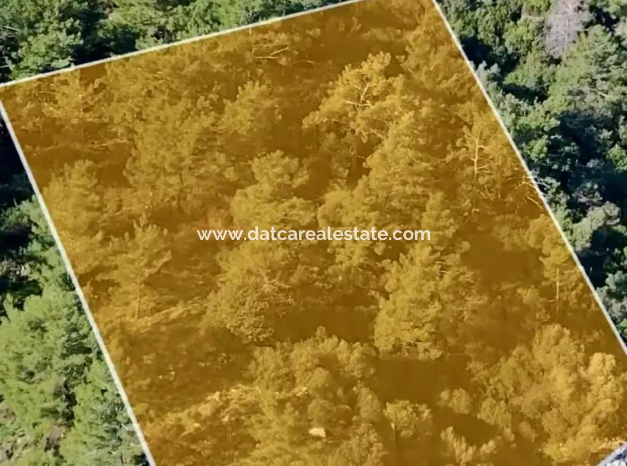 Marmaris İlçesi Turunç Mahallesi Deniz Kenarı 2354M2 Satılık Arsa