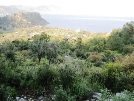 Marmaris Kumlubük Koyunda 15000M2 Deniz Manzaralı Satılık Arsa