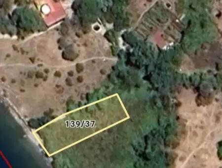 Emlakçıdan Marmaris Söğüt Köyünde Denize Sıfır 290M2 Satılık Tarla