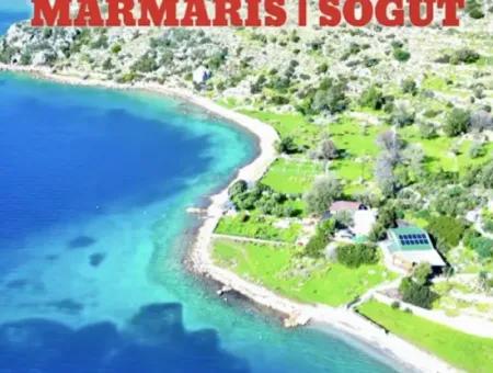Emlakçıdan Marmaris Söğüt Köyünde Denize Sıfır 290M2 Satılık Tarla
