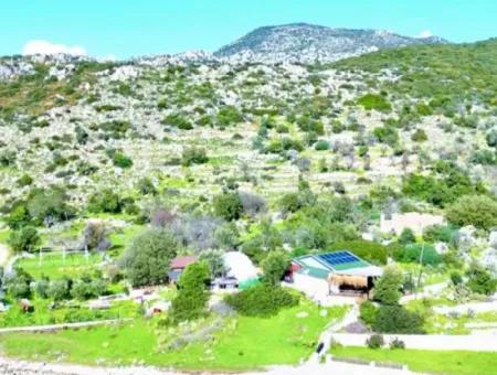 Emlakçıdan Marmaris Söğüt Köyünde Denize Sıfır 290M2 Satılık Tarla