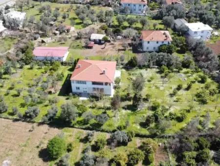 Emlakçıdan Marmaris Orhaniye Mahallesinde Denize Yakın 3700M2 Arsa İçerisinde 10 Odalı Zeytinlikler Arasında Çiftlik Evi