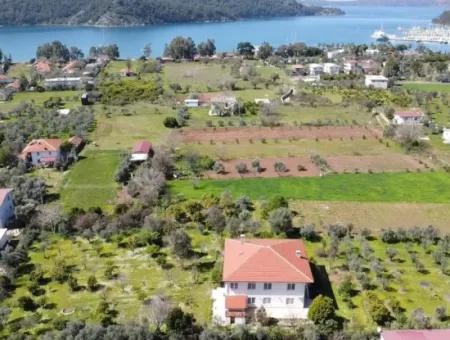 Emlakçıdan Marmaris Orhaniye Mahallesinde Denize Yakın 3700M2 Arsa İçerisinde 10 Odalı Zeytinlikler Arasında Çiftlik Evi