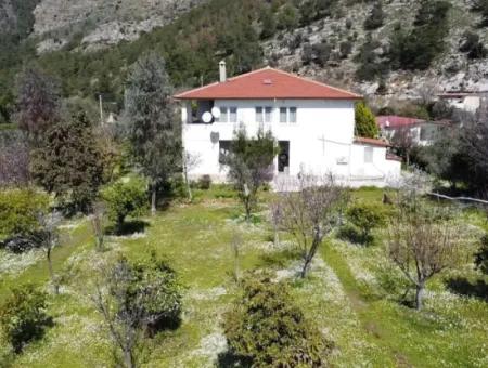 Emlakçıdan Marmaris Orhaniye Mahallesinde Denize Yakın 3700M2 Arsa İçerisinde 10 Odalı Zeytinlikler Arasında Çiftlik Evi