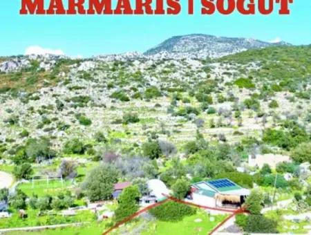 Emlakçıdan Marmaris İlçesi Söğüt Mahallesinde Denize Sıfır 380M2 Satılık Tarla