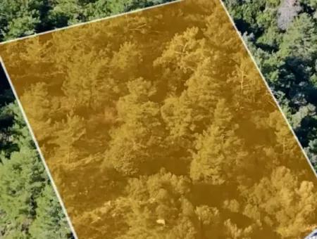Marmaris İlçesi Turunç Mahallesi Deniz Kenarı 2354M2 Satılık Arsa