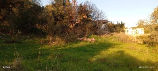 Akyaka,ya 8 Km Uzaklıkta 15 Odalı Villa Projesi Çizilmiş 1186 M2 Satılık Arsa